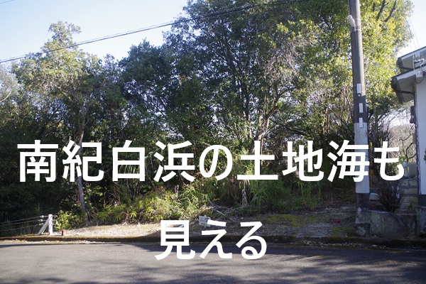 No.630556�y��I���l�z���͂��C�Ɉ͂܂ꐶ���ցI�C���]��