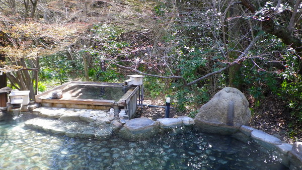 露天風呂と桜